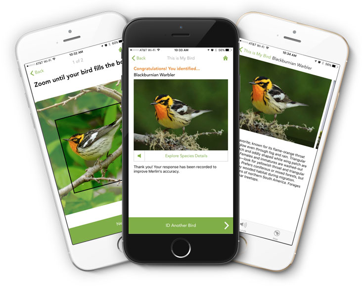 Talk Birdy to Me! Bird Watch with These Fantastic Apps